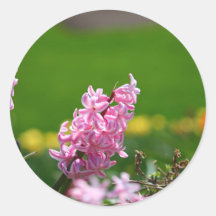 Fleurs de ressort autocollant rond