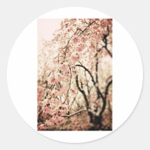 Fleurs de ressort autocollants ronds