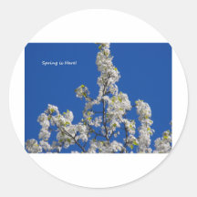 Fleurs de ressort avec le ciel bleu autocollant rond
