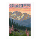Fleurs de ressort - parc national de glacier, la T Carte Postale