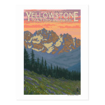 Fleurs de ressort - parc national de Yellowstone Cartes Postales