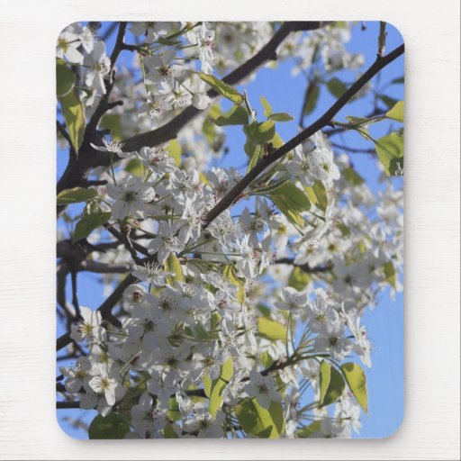 Fleurs de ressort tapis de souris
