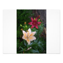 Fleurs de ressorts cartons d'invitation
