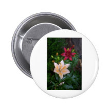 Fleurs de ressorts pin's