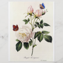fleurs de rose blanc, Pierre Joseph Redouté Prospectus Personnalisés