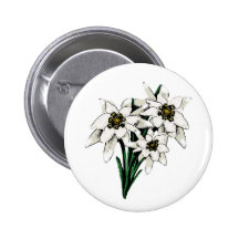 Fleurs d'edelweiss pin's avec agrafe