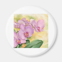 Fleurs d'orchidée de Phalaenopsis - multi Aimants
