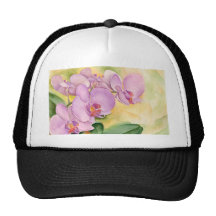Fleurs d'orchidée de Phalaenopsis - multi Casquette