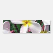 Fleurs douces de Plumeria Autocollants Pour Voiture