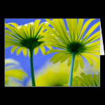 Fleurs florales d'amour de destin chic élégant de  cartes