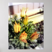 fleurs jaunes et oranges fermées posters