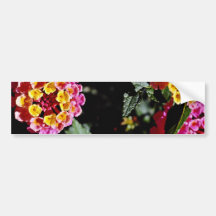 Fleurs jaunes et roses de têtes de fleur autocollant pour voiture