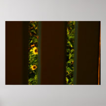 Fleurs jaunes par la barrière brune large posters