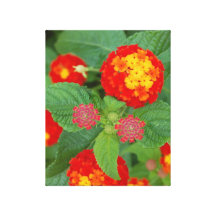 Fleurs lumineuses toiles tendues sur châssis