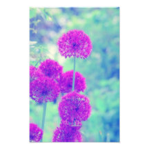 Fleurs monde photographes
