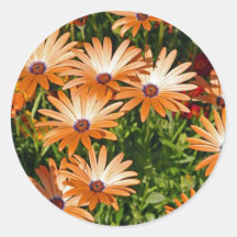 Fleurs oranges autocollant rond