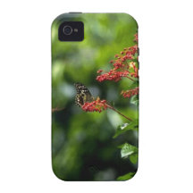 Fleurs oranges et un papillon minuscule coques vibe iPhone 4