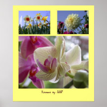 Fleurs par le collage de photo d'AAP Affiche