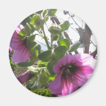 Fleurs par l'océan magnets pour réfrigérateur