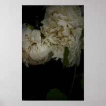 Fleurs pendant la nuit affiche