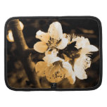 fleurs agendas