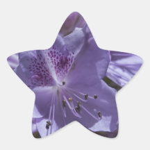 Fleurs pourpres autocollant