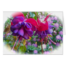 Fleurs pourpres rouges de Fushia Cartes De Vœux