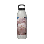 Fleurs roses de ressort de bouteilles d'eau VOLONT