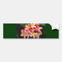 Fleurs roses et jaunes de Plumeria Autocollants Pour Voiture