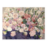 Fleurs roses par Mackintosh - carte postale
