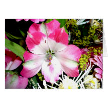 Fleurs roses vives cartes de vœux