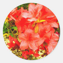 Fleurs rouges adhésifs ronds