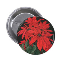 Fleurs rouges de floraison de poinsettia de Noël v Badges Avec Agrafe