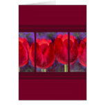 Fleurs rouges de tulipes peignant - multi cartes de vœux