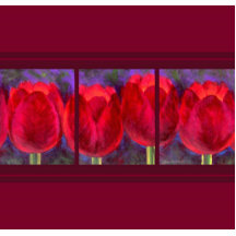 Fleurs rouges de tulipes peignant - multi photo en découpe