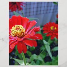 Fleurs rouges et jaunes lumineuses prospectus avec motif