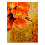Fleurs rouges rustiques cartes postales