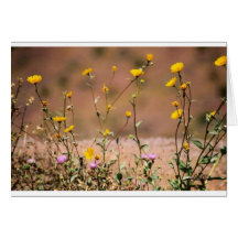 Fleurs sauvages carte de vœux
