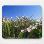 Fleurs sauvages de Mousepad - de Californie tapis de souris