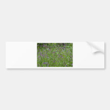 Fleurs sauvages de ressort adhésif pour voiture