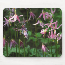 Fleurs sauvages - lis de faon tapis de souris