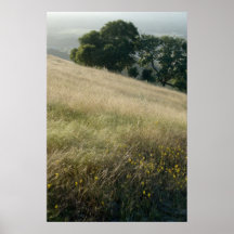 Fleurs sauvages posters