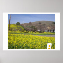 Fleurs sauvages poster