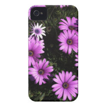 Fleurs sauvages roses coque iPhone 4