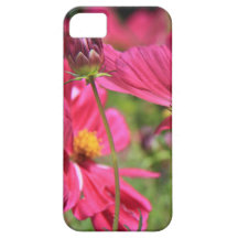 Fleurs sauvages roses vifs sur l'arrière - plan ve iPhone 5 case