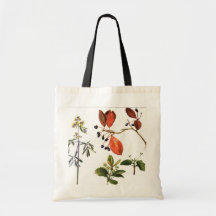FLEURS SAUVAGES SAC