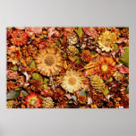 Fleurs sèches de fleurs affiches