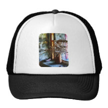 Fleurs sèches sur le rebord de fenêtre casquettes
