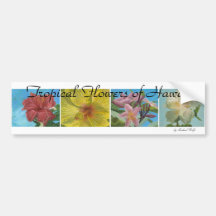 Fleurs tropicales d'adhésif pour pare-chocs d'Hawa Autocollant Pour Voiture