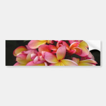 Fleurs tropicales de Plumeria de rose et de jaune Adhésifs Pour Voiture
